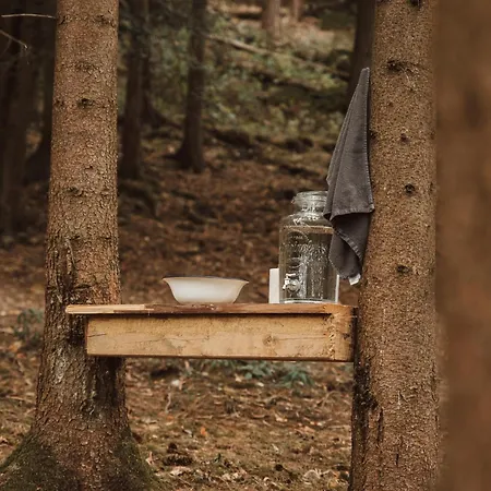 Glamping Olivia V Lese